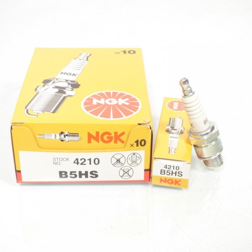 Zündkerze ngk für - , motorrad
