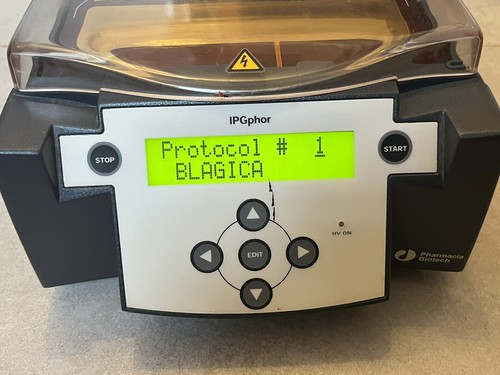 Ipgphor isoelectric focusing - ipgphor,