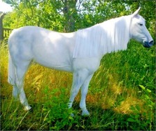 🔶Pferd Figur mit Kunsthaar