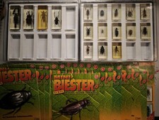 Hachette Mini Biester 1-17 Zeitschrift Sammlung Einzelhefte Insekten Käfer Acryl