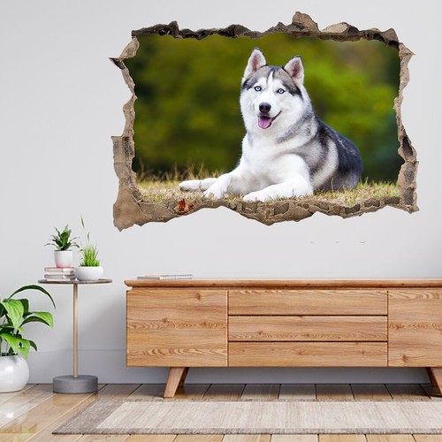 Portrait siberian husky 3d - of,