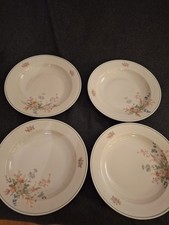 4 große Suppen Teller