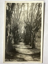 AK Graz 1930 Motiv im Rosenhain, Alfred Steffen, gelaufen, s/w 