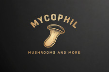 Pilz Mycel Flüssigkultur