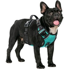 Hundegeschirr ohne Zug Small