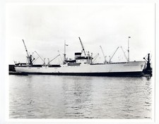 LA0167 - Schwedisches Kühlfrachtschiff - Antarktischer Ozean, gebaut 1948 - Foto 10"x 8