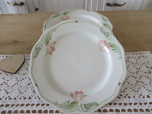 Tulipa villeroy boch - villeroy, gallo