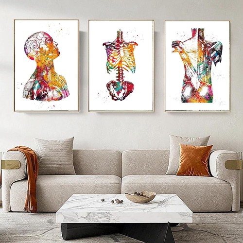 Abstrakt medizin anatomie - medizin,