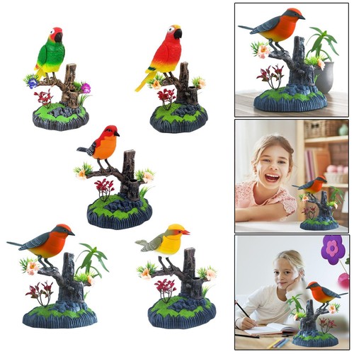 Singende vögel zwitschern - vögel,