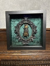 Fledermaus Bat Pentagramm Gothic schwarz tiefer Bilderrahmen Dekoration Wanddeko