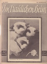 Im traulichen Heim. 13. Jahrgang, Heft 33. Das Unterhaltungsblatt für Haus und F