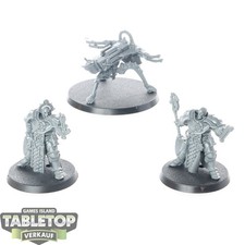 Stormcast Eternals - Celestar
