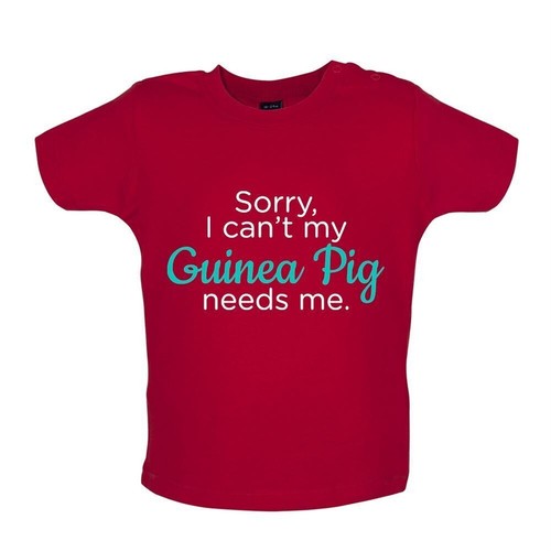 Sorry meerschweinchen - my,