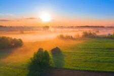 Wandbild: Nebelmorgen über