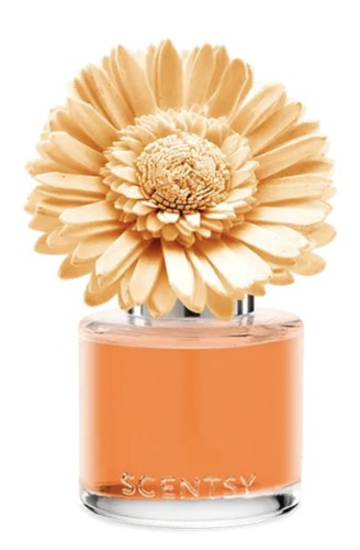 Scentsy duftblume dainty - duftblume,