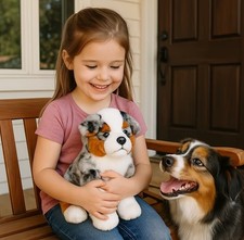 Australischer Schäferhund