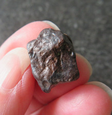 SELTENER NAMIBISCHER TSESIT