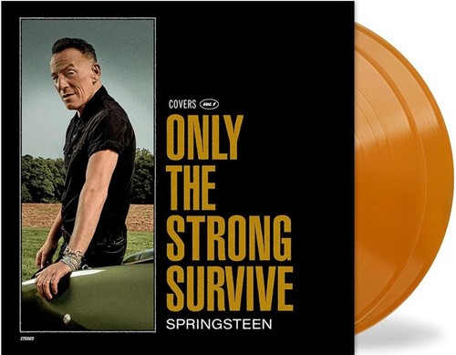 Bruce springsteen only - bruce,