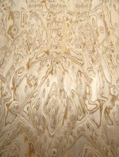 Eiche Wurzelholz Furnier Maser