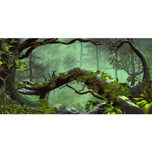 120x50cm aquarium terrarium - 120x50cm,