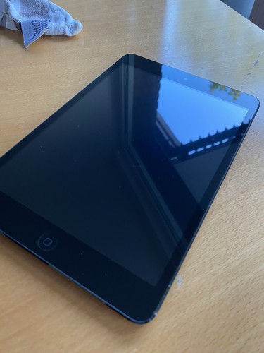 Ipad mini wifi cellular - ipad,