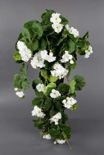 Geranienhänger 70cm weiß - , zf