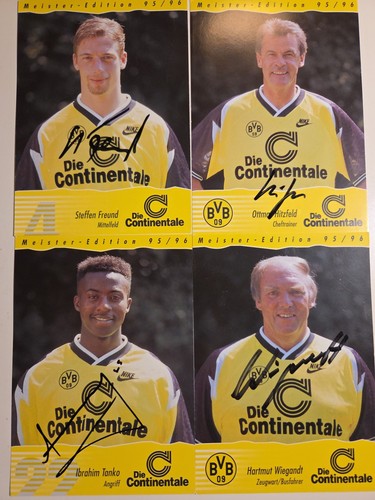 Bvb borussia dortmund - borussia, 4