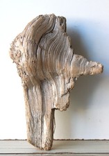 Treibholz Schwemmholz