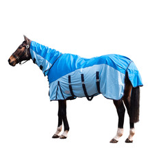 Fliegendecke Regendecke Combo