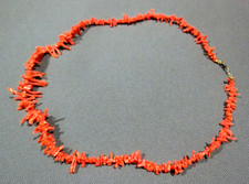 Rote Korallenkette, Koralle