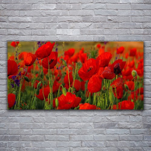 Glasbilder wandbild druck auf - druck,