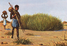 41/945 SAMMELBILDER 4 x