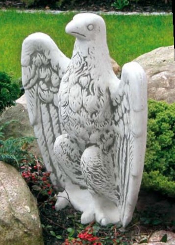 Adler aufrecht tiere vögel - adler,