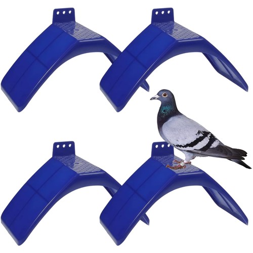 Vogel sitzstangen taube - sitzstangen,