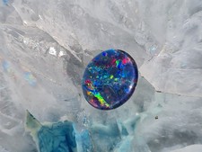 Schöne große Australische