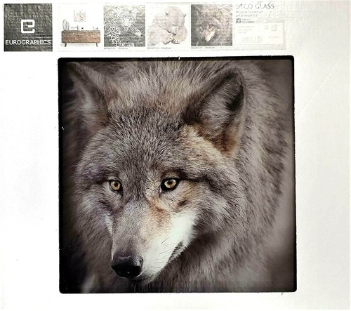 Eurographics glasbild 30x30cm - eurographics,