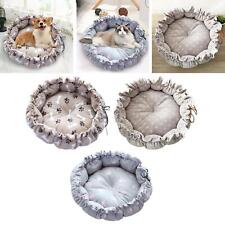 Haustier Hund Katze Bett Matte