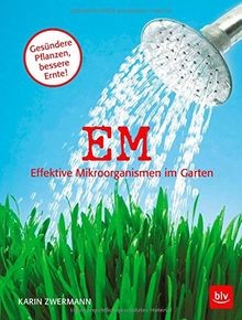 Effektive mikroorganismen - effektive,