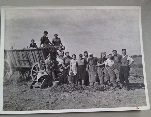 Foto vintage landwirtschaft - foto,