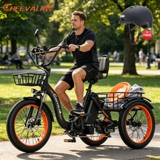 750W Elektrofahrrad Dreirad