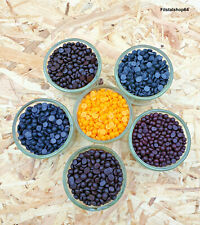 5/10g Kerzenfarbe Wachsfarbe Kerzenwachsfarbe für 5/10kg Wachs aus Deutschland