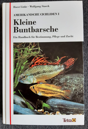Kleine buntbarsche - kleine,