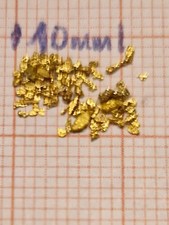 Echte, sehr schöne Goldnuggets  aus Alaska Yukon BC  Nr. 2