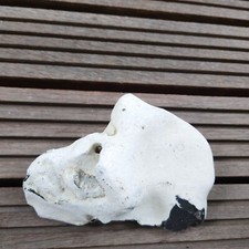  Hühnergott/Lochstein Ostsee Schatz Haus Garten Steinbeet Hochzeit Deko 18x14cm