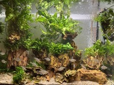 Aquarium mit Zubehör – 80 Liter – Komplettset