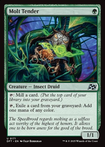 Molt tender - molt, 171)