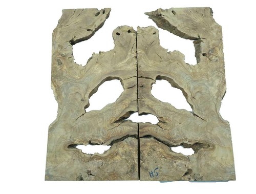 Oliven wurzelholz holz - 2x,