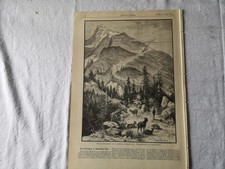 RK/IZ 1893 Zeitungsdruck 620