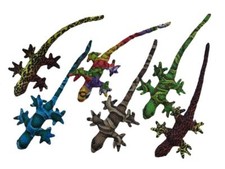 Sandtier Gekko, Größe ca. 24