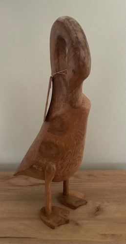 Dcuk braune ente namens - dcuk,